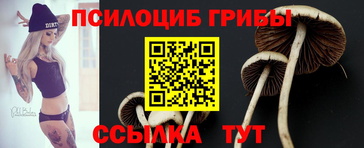 Псилоцибиновые грибы MAGIC MUSHROOMS  Псилоцибиновые грибы Psilocybe  Нефтекамск  как найти закладки  Вход с VPN 